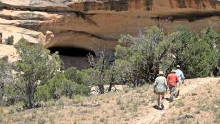Yampa River 2015 Fools Gold