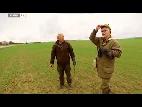 Nak og Æd falkejagt