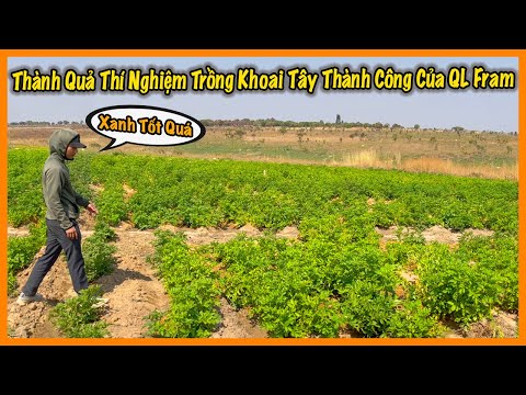 , title : 'Quanglinhvlogs || Một Số Thành Quả Nhất Định Của Quang Linh Farm - Kì Vọng Cao Cho Giống Khoai Tây'