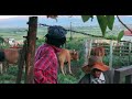 Re Khutxitxe Official Music Video Makoti Ka Lapeng