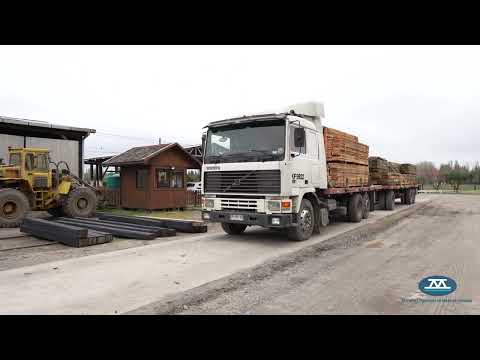 Procesos en planta de madera Preservada, Planta Yumbel Región del Bio-Bío.