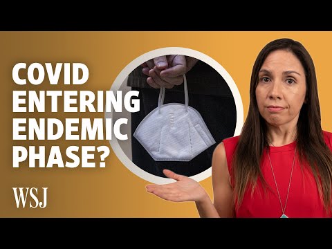 Endemic: The Next Covid-19 Phase, Explained