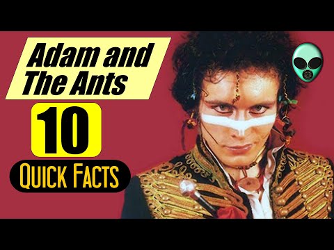 Adam Ant Net Worth