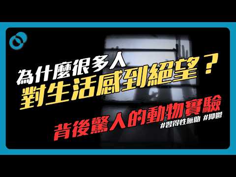 #PSY｜為什麼很多人對生活感到無助？三個自救方法擺脫無力感！背後驚人的動物實驗 🙂‍↔️🙂‍↕️#習得性無助 #抑鬱 #憂鬱｜#五分鐘心理學