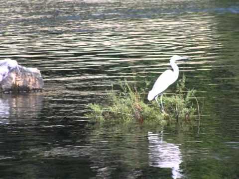 EGIPTO FANTASTICO Hossam Ramzy's Nefertari's Dream