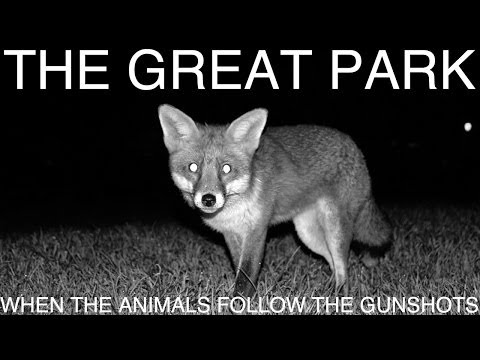 The Great Park - 'When The Animals Follow The Gunshots'