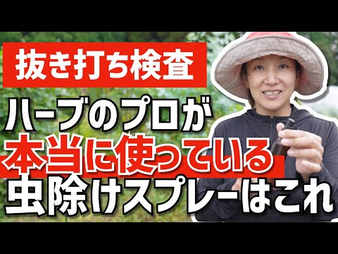 トガリネズミを庭から追い出したほうがいいでしょうか？やり方は？私たちは本物と偽物を区別します！  庭園