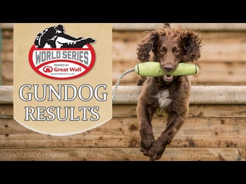 2015 Sussex Country Show | Great Wall Motor World Series Gundog Championship