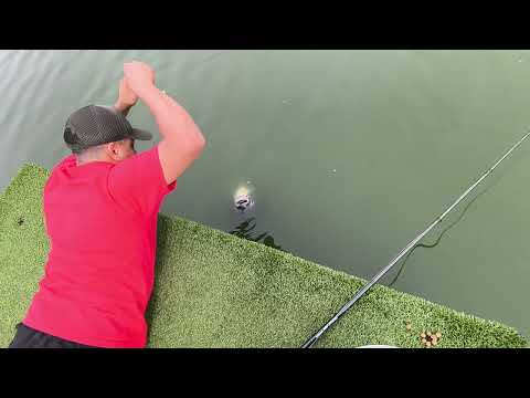 Pesqueiro Pantanosso em Mairinque interior de São Paulo