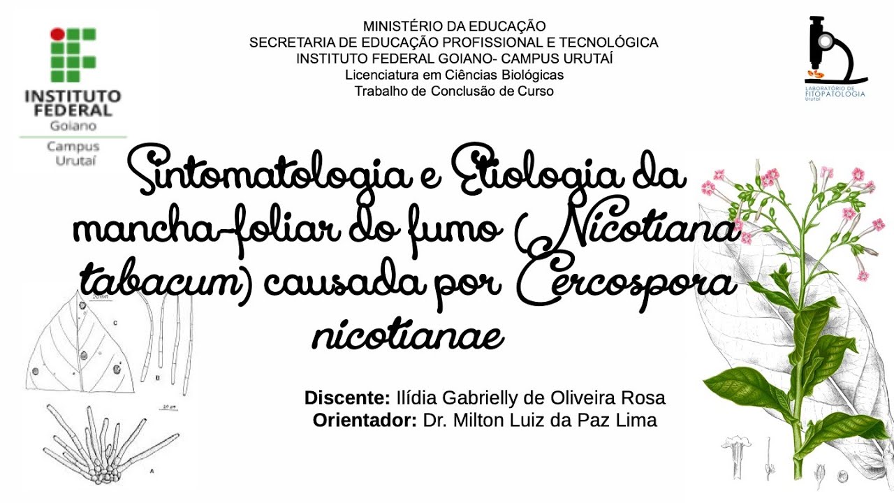 Apresentação do Trabalho de conclusão de Curso de Ilídia Gabrielly de Oliveira Rosa.