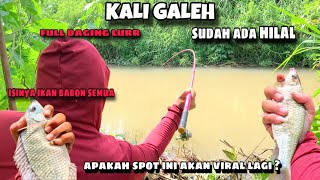 Download lagu SPOT KALI GALEH SUDAH ADA HILAL LURR !!! FULL IKAN BABON !! ini yang kalian tunggu kan ?!!  mp3