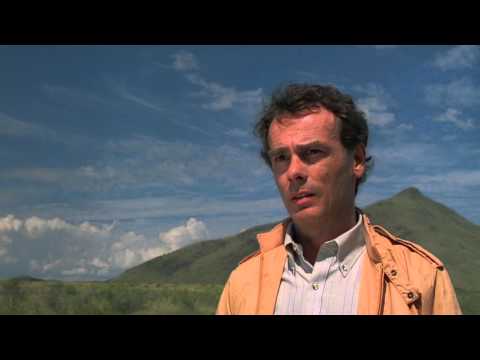 Jesse Sykes & the Sweet Hereafter - Reckless Burning