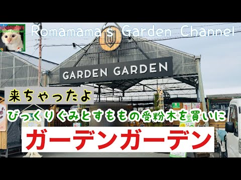 果樹の害虫 2023