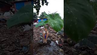 The Action Comedy😂