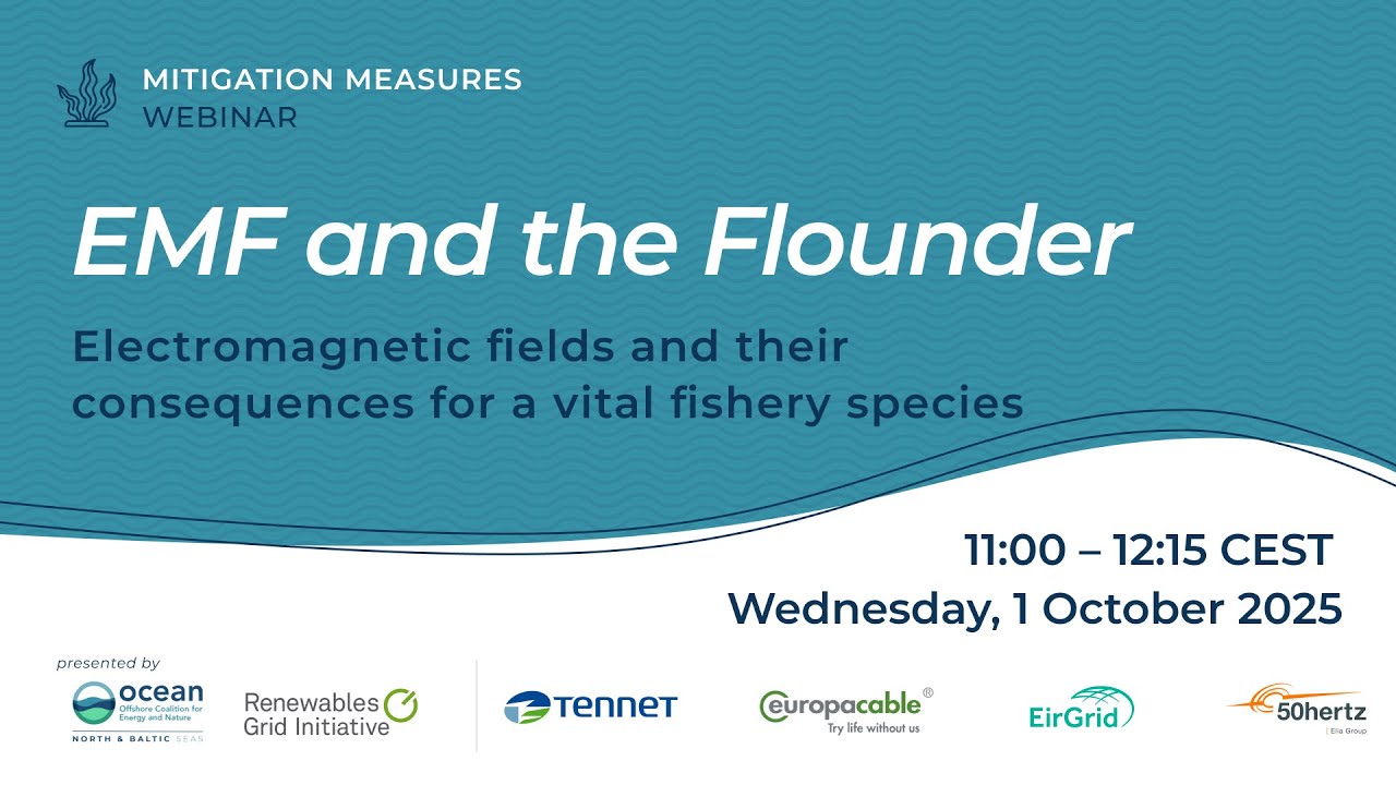 EMF and the Flounder: Electromagnetic fields and their consequences for a vital fishery species