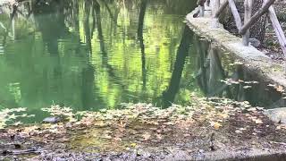 Valley of Butterflies, Rhodes, Greece - October 2023