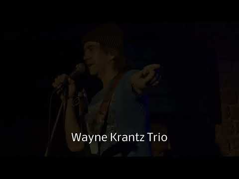 39. Leipziger Jazztage 2015 - Wayne Krantz Trio