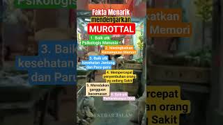 Download lagu siapa diantara kalian yg suka mendengarkan Murottal ? #shorts #murottal mp3
