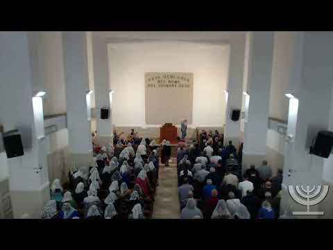 2022-06-26 Domenica Sera - Fr. Frusteri - Fr. G. Gemelli - Luca Cap 24 vers 13-36