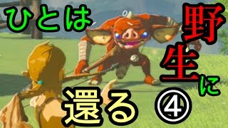 ゼルダの伝説 ブレス オブ ザ ワイルドなのでワイルド（上裸）に実況プレイ④