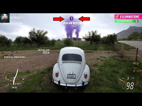 From Beetle to Beetle! - Forza Horizon 5 Eliminator