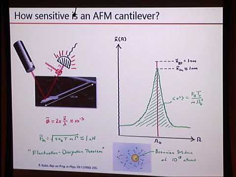 Colloquium: Dalziel Wilson - Exploring Quantum Measurement with Nanomechanics and Light
