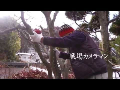 映画『石川文洋を旅する』予告編