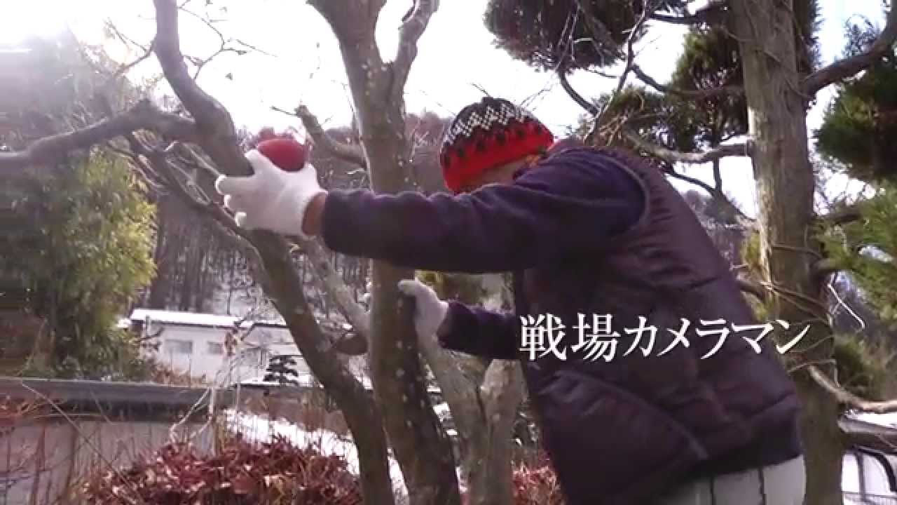 映画『石川文洋を旅する』予告編