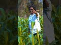 Chupa Chupa Pandhurang Meshram