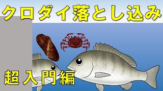 【落とし込み釣り】釣れる３つの方法とエサと場所