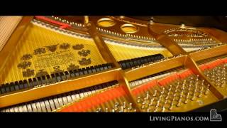 Video thumbnail for Restored Steinway Model O Grand Piano - Living Pianos: Online Piano Store by LivingPianosVideos