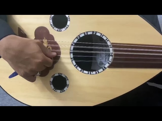 عود موسيقي اباضه عزوز  - 023