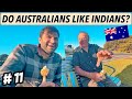 HOW AUSTRALIANS TREAT INDIANS? 🇦🇺🇮🇳