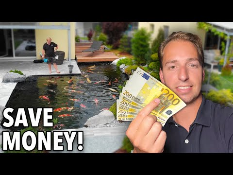 5 Tips to Save Money with your Fish Pond!