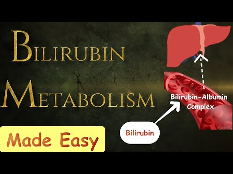 Bilirubin metabolism-  MADE SIMPLE