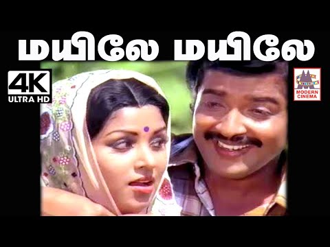 Mayile Mayile Un Thogai Enge Song  SPB ,ஜென்சி பாடிய மயிலே மயிலே உன் தோகை எங்கே பாடல்