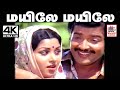 Mayile Mayile Un Thogai Enge Song SPB ஜென்சி பாடிய மயிலே மயி�
