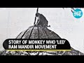 Divine Monkey S Image From Ram Mandir Movement Viral Iconic Tale Resurfaces