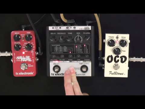 Guitar Effects Survival Guide - #8 Dub Delay Tutorial - Guitar Lesson - Jeff McErlain