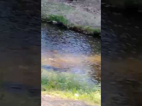 San Estèban, Punilla, Córdoba, Argentina.#sanesteban