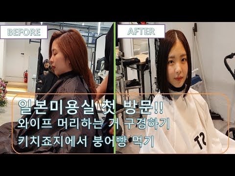 아이콘