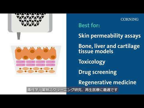 グリンム賞:キャロリン・ケベクスとマイ・ティ・グエン=キムが受賞