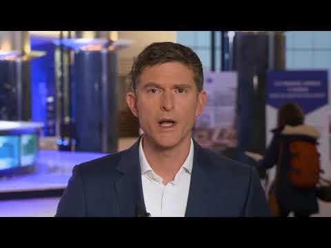 Fact or Fake: A brothel for zoophiles to open in Denmark? – Euractiv