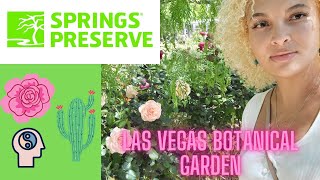 SERENITY in Las Vegas - Springs Preserve