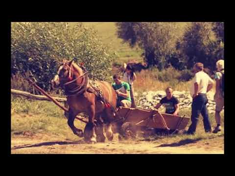 Furmani z Giraltoviec