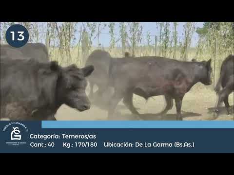 Lote M Y H - De la Garma Bs As