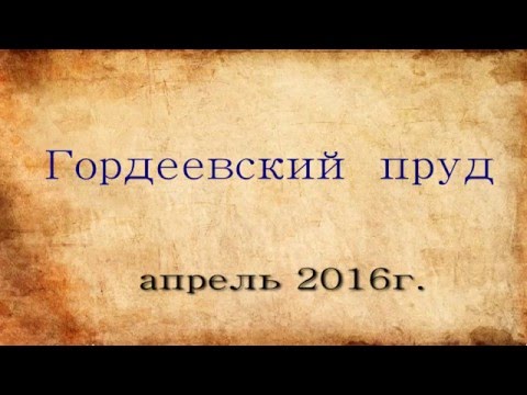 Гордеевский пруд.Коп.