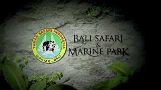 preview picture of video 'Bali Safari and Marine Park - Night Safari - Official Video - Tourist Point Bali'