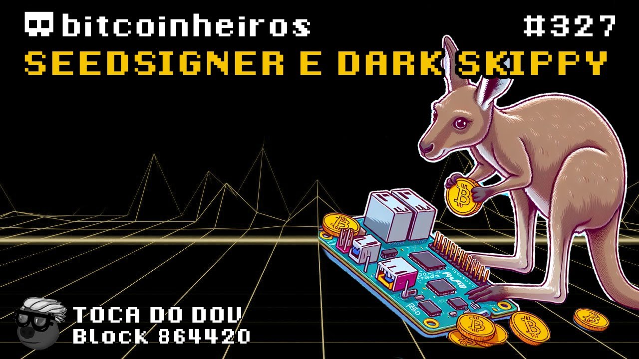 É seguro usar Pi Zero + Seedsigner como hardwallet?