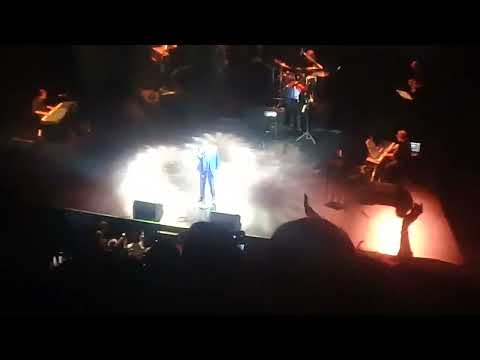 Dyango Gran Rex 30/10/22